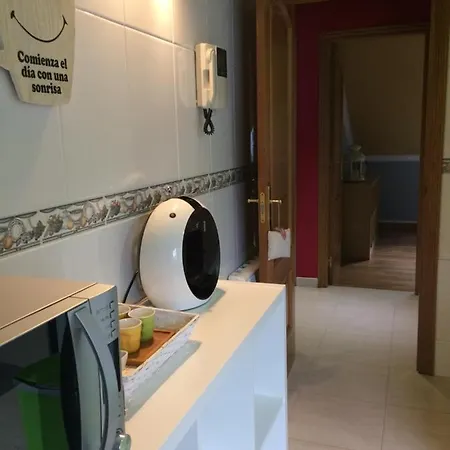 Apartment Atico Picasso