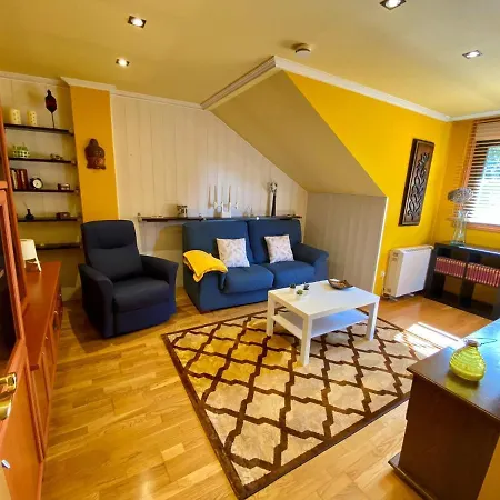 Apartment Atico Picasso