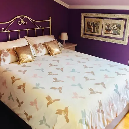 Atico Picasso Apartment Vilagarcia de Arousa
